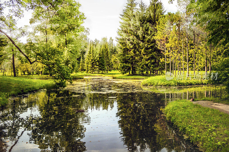 美丽的夏日，在俄罗斯圣彼得堡附近普希金国家博物馆保护的Tsarskoye Selo凯瑟琳公园。